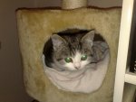 24102010475.jpg