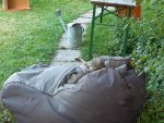 20200704_192022.jpg