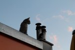 IMG_5016 - Kopie.JPG