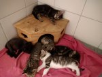 DSC_0156.JPG
