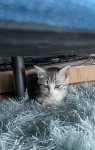 20200720_074223838_iOS.jpg 20200720_074223838_iOS.jpg