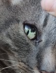IMG_20200806_184211__01.jpg