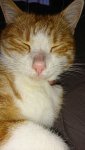 DSC_0567-min.JPG