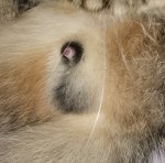 IMG_20200823_232420.jpg