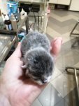 FB_IMG_1600054851996.jpg