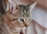 Tigger6.jpg Tigger6.jpg
