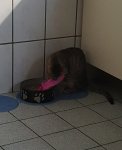 20201005_174652.jpg