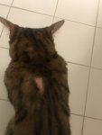 D2676302-59D7-4FF0-8D95-6EEC865E808C.jpeg