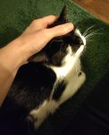 IMG_20201008_132702.jpg