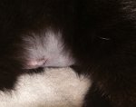 IMG_20201027_191012.jpg