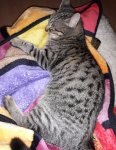 20201116_184254.jpg