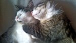 DSC03458.jpg
