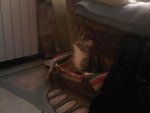 IMG00787-20101030-1949.jpg
