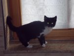 DSCF7178.jpg