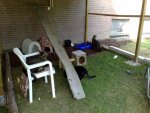 24082010800.jpg