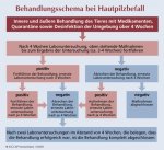 2DE69446-FA64-421C-937F-34E8EB528183.jpeg 2DE69446-FA64-421C-937F-34E8EB528183.jpeg