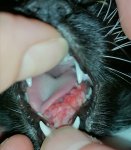 IMG_20201213_215807.jpg