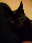 20201229_064115.jpg