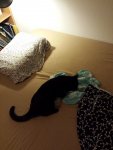 20201229_063123.jpg