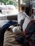 20201231_131548.jpg