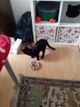 20201231_130527.jpg