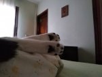 3DA7B60C-02CE-44A8-95A0-9AC7BF27FCA7.jpeg