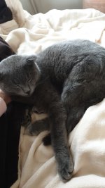 IMG-20210123-WA0021.jpeg