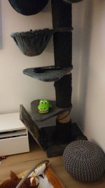 IMG-20210116-WA0016.jpeg