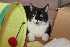 momo2.jpg momo2.jpg