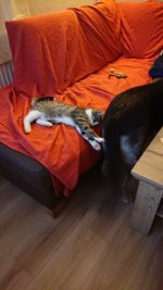 IMG-20201203-WA0002.jpg