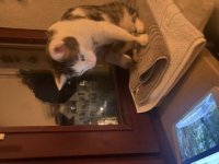 D957CF66-0B54-4D64-9AEA-EBDFAD87DE44.jpeg