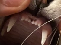 5093A59F-73FB-4CFE-979E-E943531A9BAB.jpeg