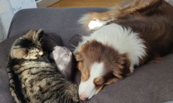 Shira und Dexter.jpg