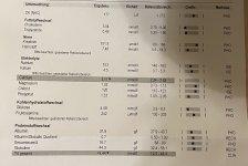 44BBCB85-7746-4880-9E15-7B0B2D4350D6.jpeg