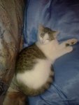 29112010050.jpg