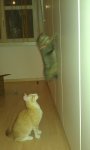IMAG0059.jpg