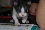 DSC_0254.jpg DSC_0254.jpg