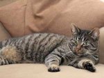 090218-frankie.jpg