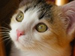 DSCF5814.jpg