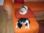DSCF9052.jpg