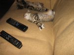 IMG_1521.jpg