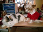 annie_und_hannah_groessenun.jpg