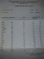 172895893_2807453586173410_1814267628232506252_n.jpg