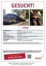 TASSO_Suchplakat_S2583595.jpg