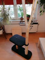 IMG_20210717_204103.jpg