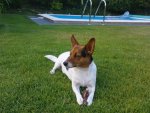 DSC00271.jpg