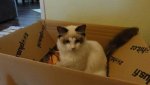 DSC03308.JPG