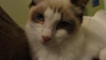 DSC03301.JPG