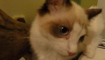 DSC03297.jpg