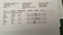 DC2F1F36-2730-4783-A3ED-235F53D51766.jpeg